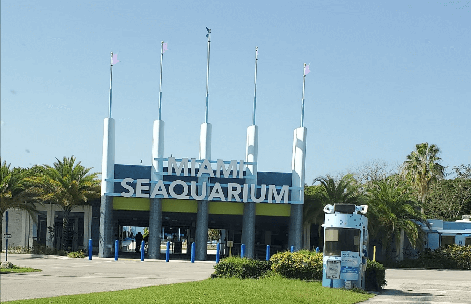 Get to know the Annual Passes of Miami Seaquarium