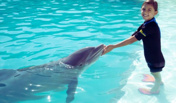 girl swim with dolphins in miami