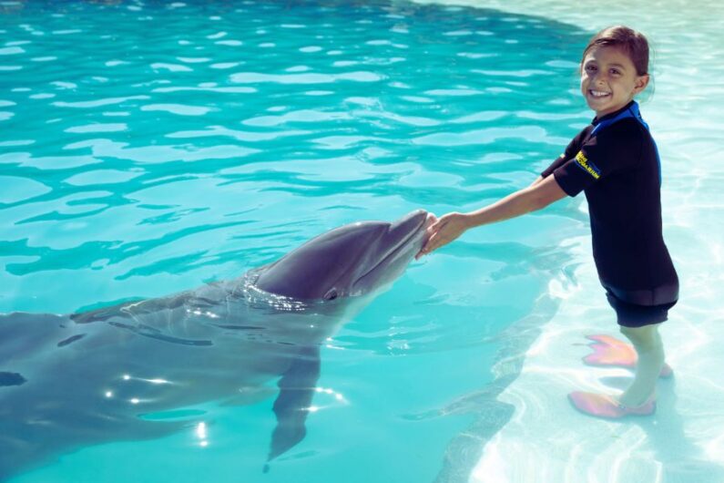 girl swim with dolphins in miami