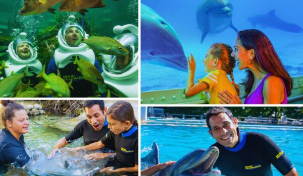 family activities in miami seaquarium