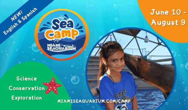 Advertising image of SEA SUMMER CAMP from Miami Seaquarium