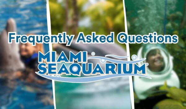 Frequently asked Questions about Miami Seaquarium