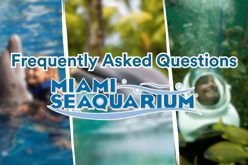 Frequently asked Questions about Miami Seaquarium